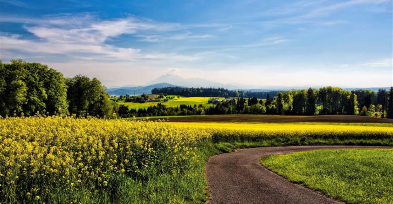 Politiques de mobilité en milieu rural : une thèse pour éclairer l’action publique